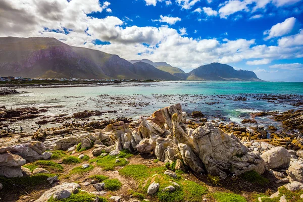 masmavi su, kayalar ve yosun Atlantik'in. Cape Town çevresi. Kayalar penguen kolonisi National Park, Güney Afrika. 