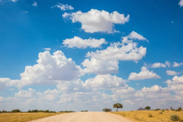 Namibya Için Seyahat Egzotik Turizm Kavramı Toprak Yol Savannah — Stok fotoğraf