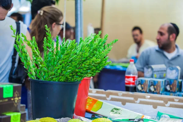 Jerusalem Israël Oktober 2014 Religieuze Joden Zijn Het Kopen Van — Stockfoto