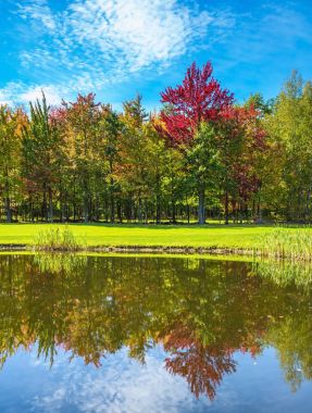 Fransızca Kanada küçük gölet yansıtan sonbahar yaprakları