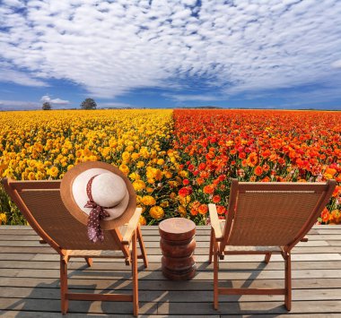 Rahat çifti şezlong sonraki çiçek alan için güneş. Zarif bayanlar hasır şapka şezlong üzerinde asılı. Rekreasyon ve eko-turizm kavramı