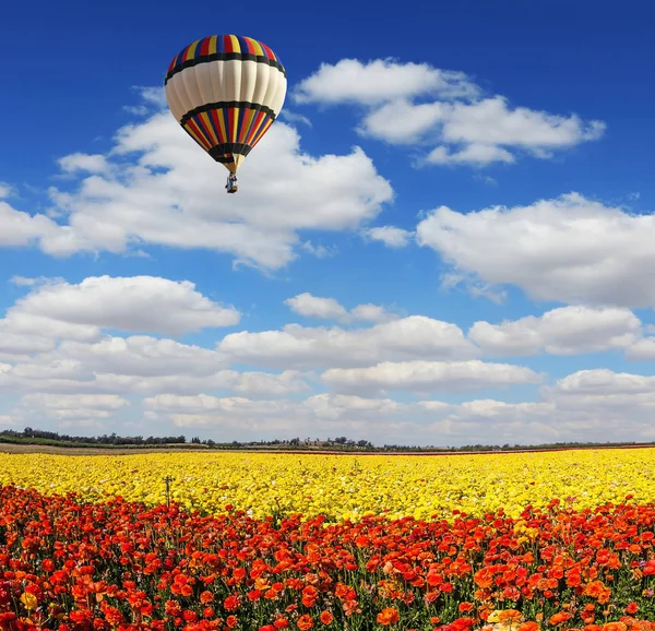 複数色の風船はゆっくりと庭のキンポウゲの花のフィールドを飛ぶ 極端な農村観光の概念 光雲前兆暖かい日 — ストック写真