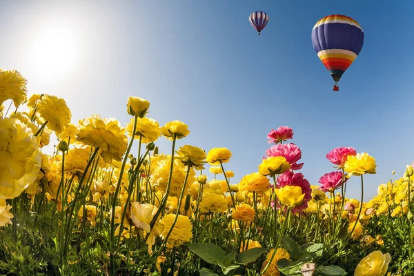 Pojęcie Eko Turystyki Rekreacji Ogromny Balon Wielobarwny Powoli Leci Nad — Zdjęcie stockowe