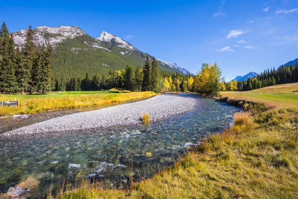 Stream Pebbly Bottom Flows Mountains Magnificent Picturesque Valley Banff National — Stock Photo, Image