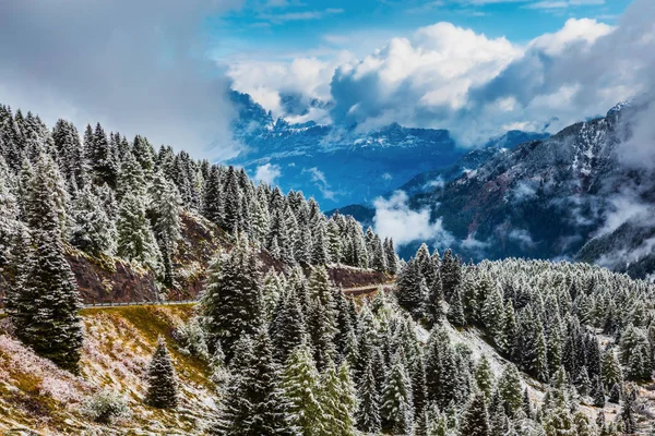 Magnificent Landscape Dolomites Snow Evergreen Forests Valley Covered First Snow — Stock Photo, Image