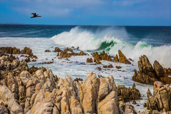 強力な海 南アフリカ共和国のテーブルマウンテン国立公園の風光明媚なビュー — ストック写真