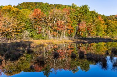 Yapraklar sonbaharda ormanların gölet yansıtılır. Fransızca Kanada - Mont Tremblant muhteşem beldesinde. Su birikintisi bir ayna gibi pürüzsüz. Ekolojik turizm kavramı