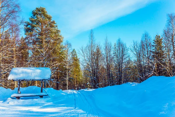 Przystanek Autobusowy Pokryte Śniegiem Boże Narodzenie Laponii Śnieżny Poranek Sosnowym — Zdjęcie stockowe