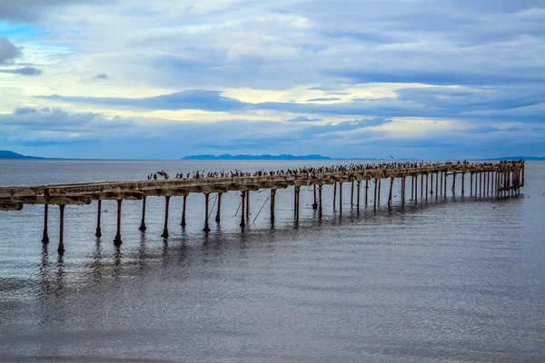 Mattinata Autunnale Nuvolosa Ventosa Leggendario Stretto Magellano Resti Del Mare — Foto Stock