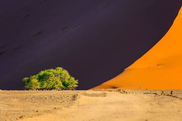 Der Fuß Der Riesigen Violett Orangen Düne Der Namib Wüste — Stockfoto