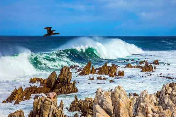 強力なサーフィンは 岩の多い海岸を打ってです 鵜は水に飛ぶ 岩のペンギンのコロニー テーブル山の国立公園 南アフリカ共和国の エコツー リズムの概念 — ストック写真