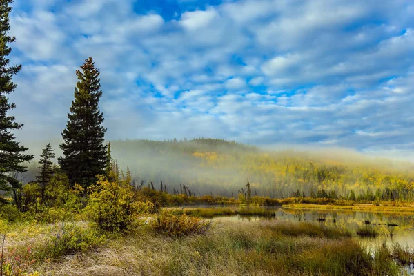 Cool Autumn Morning Rocky Mountains Morning Mist Spreads Forest Patricia — Stock Photo, Image