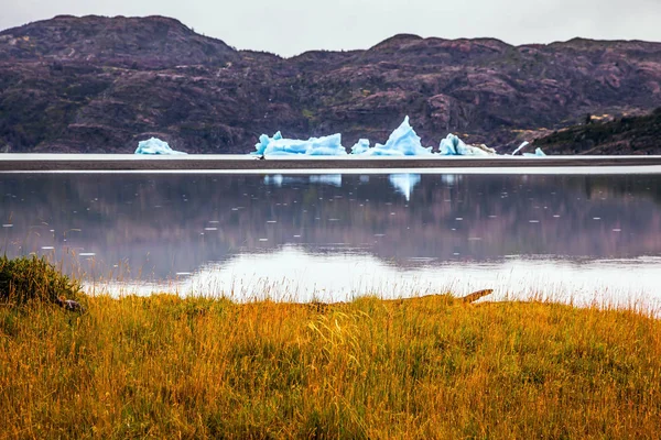 Blaue Eisberge Treiben Auf Dem Wasser Chili Lago Grau Ist — Stockfoto