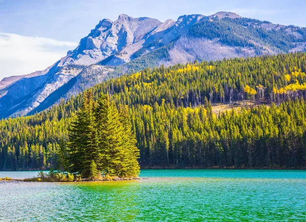 Concetto Turismo Ecologico Attivo Autunno Oro Canada Sole Del Mattino — Foto Stock