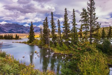 Pocahontas yolu boyunca vadi