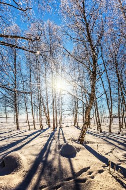 Güneşin ufuk olduğunu