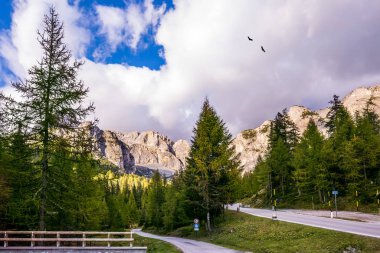 Dolomitlerdeki yol.