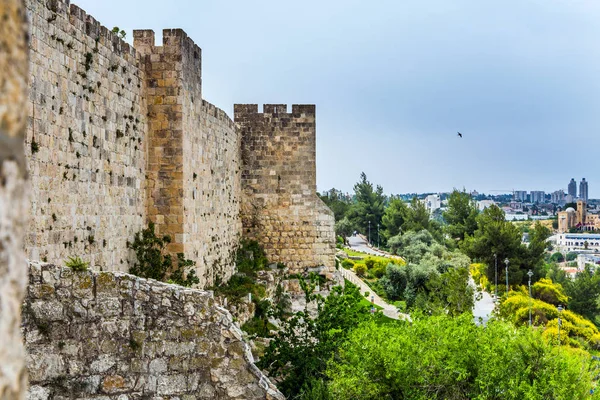 The walls of Jerusalem sprouted in tufts of grass — Stock Photo, Image