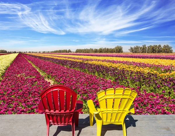 Los sillones están junto al campo de granjeros —  Fotos de Stock