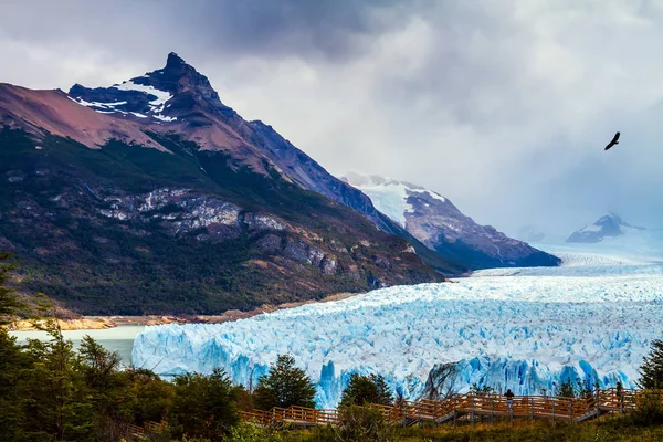 The fantastic glacier — Stock Photo, Image