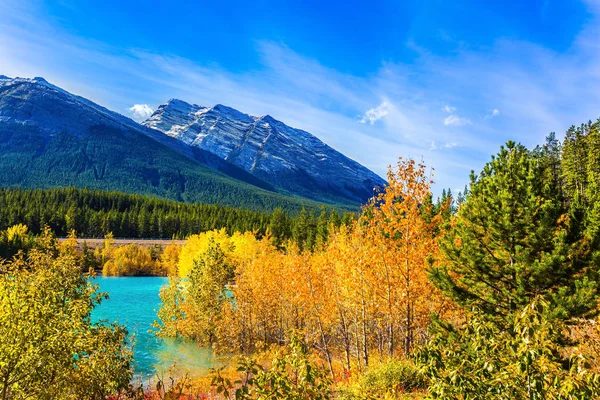 Abraham Lake spiegelt das goldene Laub wider — Stockfoto