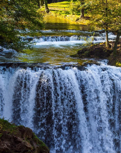 La foresta circonda il fiume — Foto Stock