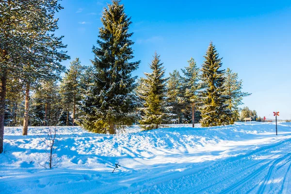 Laponya'da Noel — Stok fotoğraf