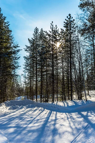 Laponya 'da karlı gün batımı — Stok fotoğraf