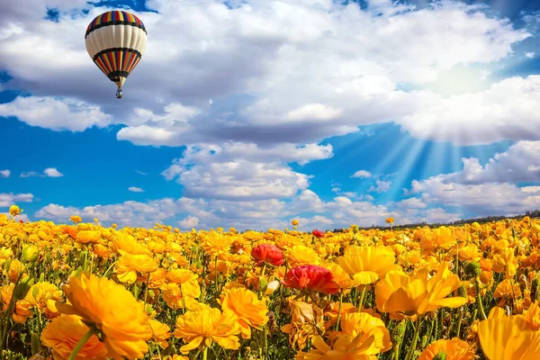 O balão multicolorido voa nas nuvens — Fotografia de Stock
