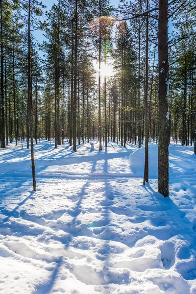 Lange schaduwen Kruis diepe sneeuw Drifts — Stockfoto