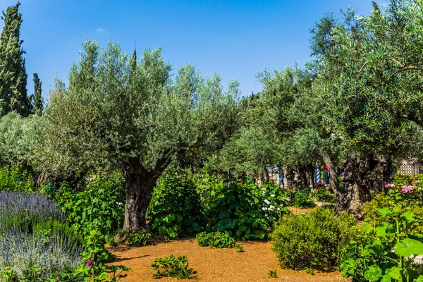 Der heilige Garten — Stockfoto