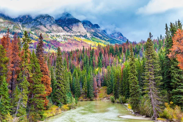 Großer Herbst in den Rockies — Stockfoto