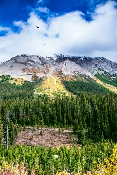 Montagne in Canada — Foto Stock