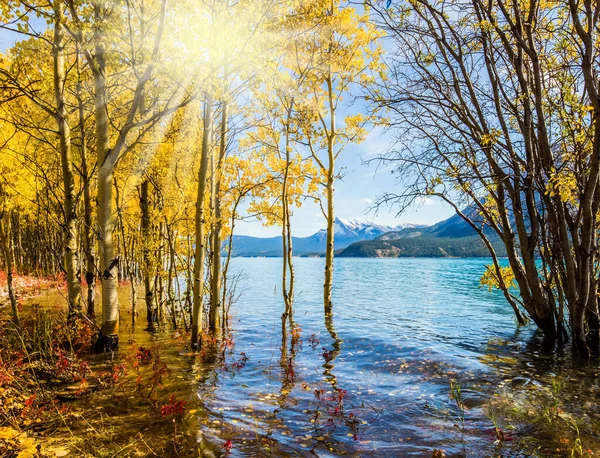 Kanada Kayalıklarında Altın Sonbahar — Stok fotoğraf