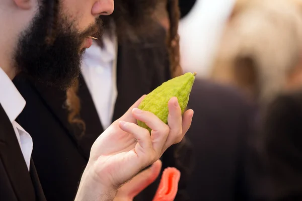 Judeu com barba preta escolhe etrog — Fotografia de Stock