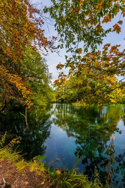 Červené pomerančové listí — Stock fotografie