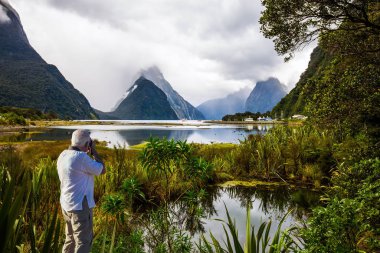  Gri saçlı turist bir manzaranın fotoğrafını çekiyor. Fiyort Milford Sound 'un bataklık, fazla gelişmiş bataklık çim kıyısı. Yeni Zelanda. Fotoğraf, egzotik ve aktif turizm kavramı