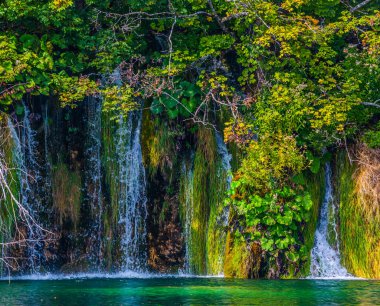 Plitvice Gölleri 'nin muhteşem ülkesine git. Birçok küçük şelale gök mavisi suya düşer. Ekolojik, aktif ve fototürizm kavramı