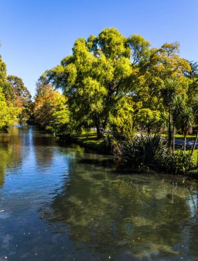 Nehir parkın içinden akar. Yeni Zelanda 'da Hint yazı. Güney Adası 'na git. Ekolojik ve fotoğraf turizmi kavramı. Christchurch Sahne Botanik Bahçesi