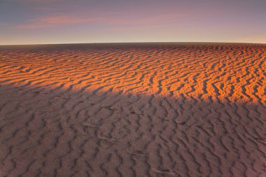 Kaliforniya 'daki Mesquite Düz Kum tepeleri. Usa. Kum tepelerinin yumuşak yamaçları rüzgarın hafif dalgalarıyla kaplıdır. Çölde turuncu gün batımı. Etkin, ekolojik ve fotoğraf turizmi kavramı