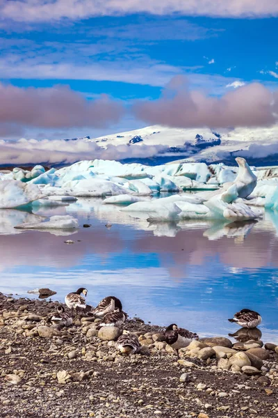 Alba Illumina Ghiacciaio Vatnajokull Acqua Ice Lagoon Jokulsarlon Diverse Oche — Foto Stock