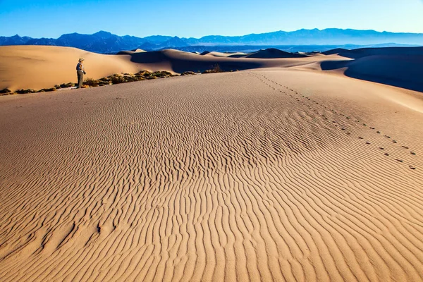 アメリカ メスキート フラット サンド 砂丘は カリフォルニア州のデスバレーの一部である 中年の女性の写真風景 砂漠の風からの光砂波 積極的かつ写真観光の概念 — ストック写真