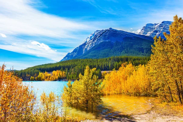 Concept Active Ecological Photo Tourism Artificial Abraham Lake Reflects Golden — Stock Photo, Image