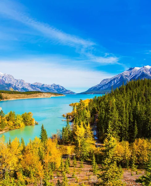 Margens Pitorescas Artificial Abraham Lake Outono Dourado Nos Bosques Bétula — Fotografia de Stock