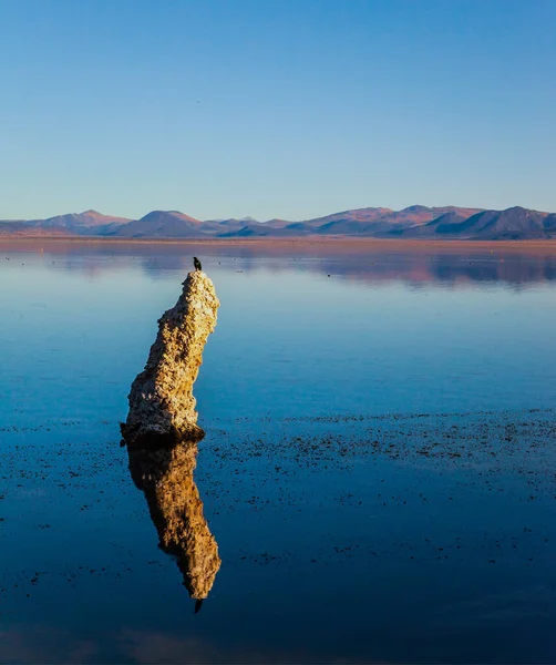 Птахи Озері Picturesque Mono Lake Залишки Колон Туфа Фантастично Відображені — стокове фото