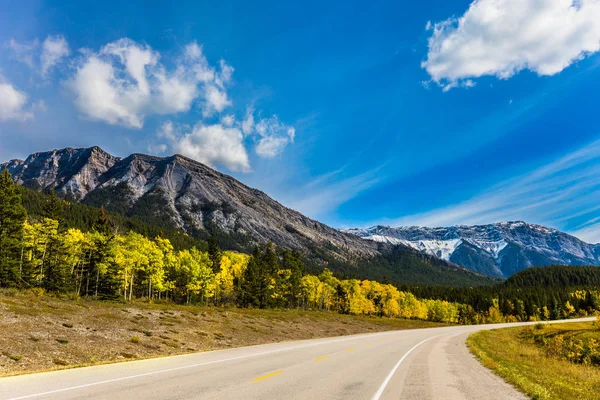Kanada Nın Rocky Dağları Asfalt Yolu Bir Dağ Vadisini Geçer — Stok fotoğraf