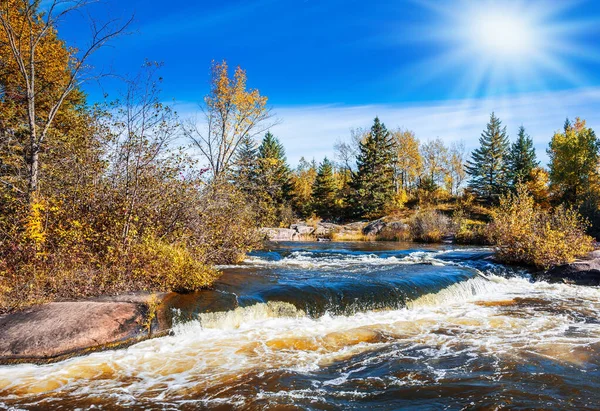 Fendas Água Espumosas Pedras Lisas Abetos Baixos Bancos Rio Winnipeg — Fotografia de Stock