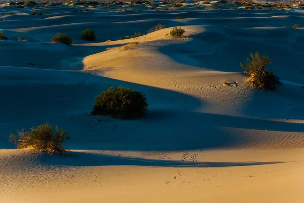Wydmy Oświetlone Pomarańczowym Zachodem Słońca Jestem Usa Mesquite Flat Sand — Zdjęcie stockowe