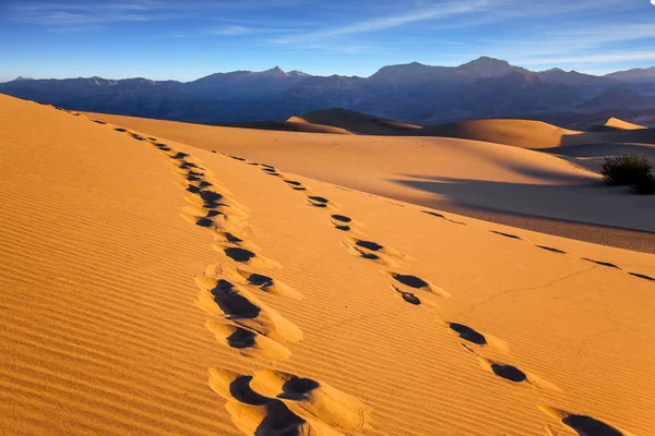 Піщаних Дюнах Видно Мальовничі Ланцюжки Слідів Mesquite Flat Sand Dunes — стокове фото