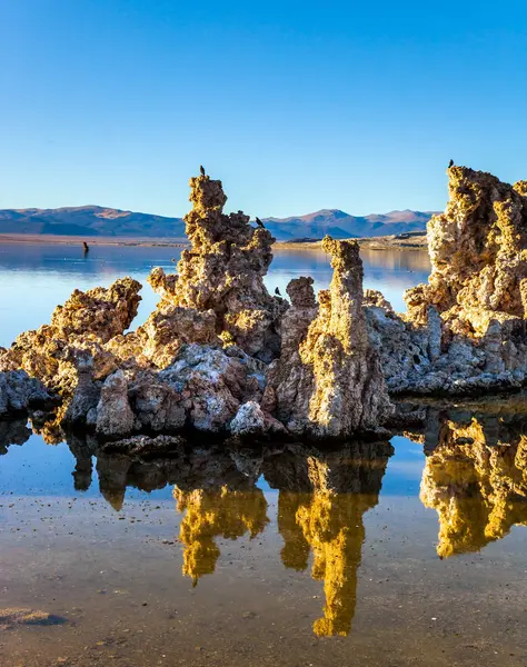 Γραφική Λίμνη Μόνο Κίονες Υπολείμματα Του Tufa Αντανακλώνται Φανταστικά Στο — Φωτογραφία Αρχείου